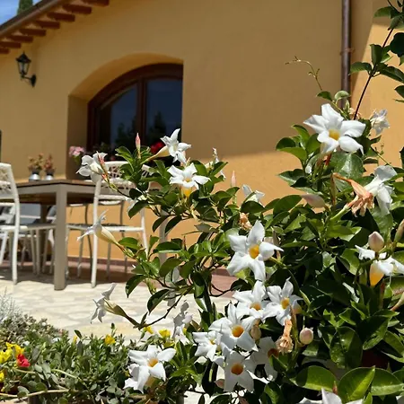 Magical Umbrian And With Pool! * Quadrelli